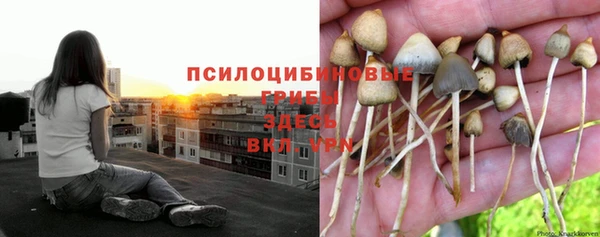 крисы Горнозаводск