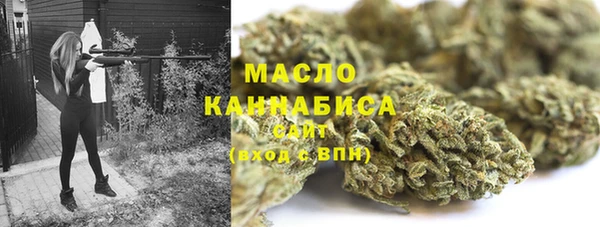 крисы Горнозаводск