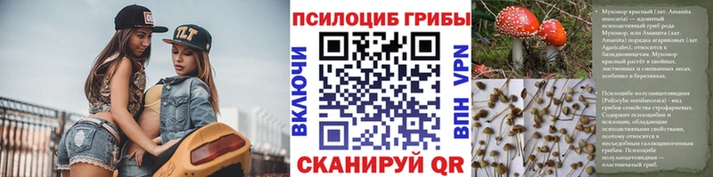 KRAKEN зеркало  Обнинск  Псилоцибиновые грибы мухоморы 